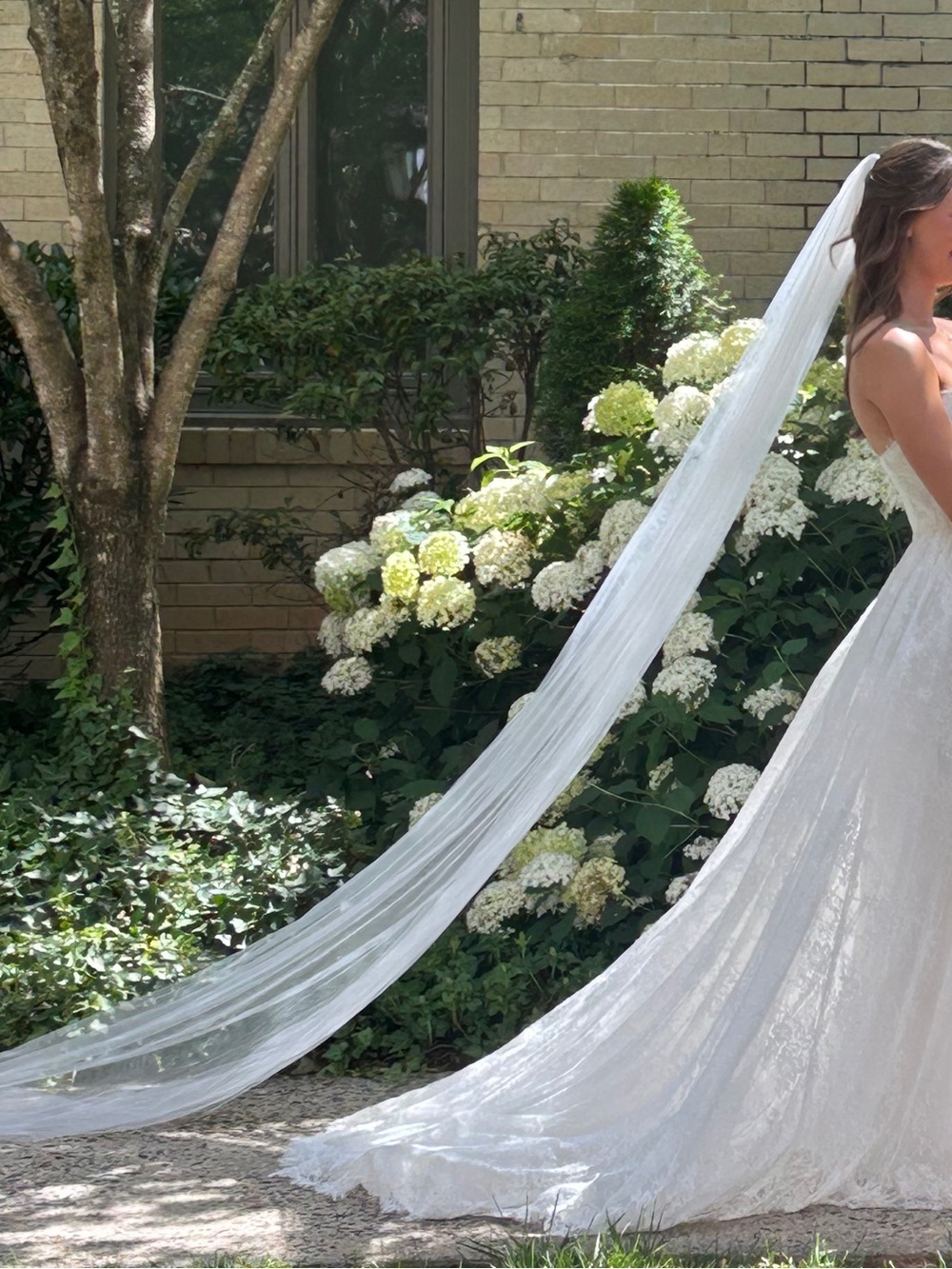 Wedding Veil - Cathedral Length